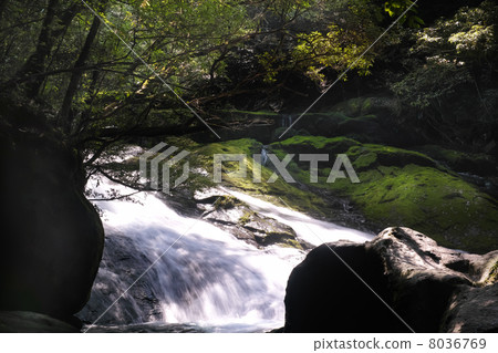 Kikuchi Valley 40 thousand waterfall Kikuchi Valley 40 thousand waterfall 8036769