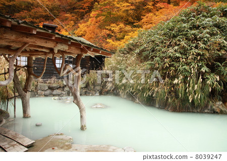 Autumn crane's hot spring hot spring 01 8039247