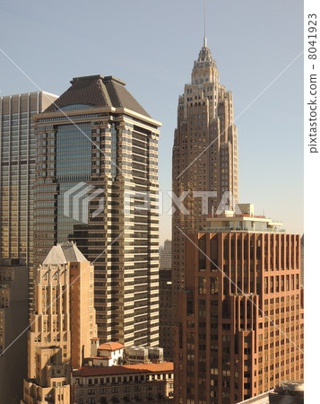  New York  8041923