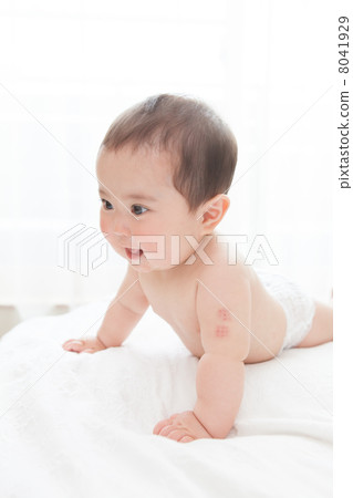 寶貝0歲寶貝女孩寶寶7個月大的寶寶 8041929