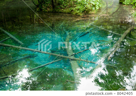 上帝的池塘 8042405