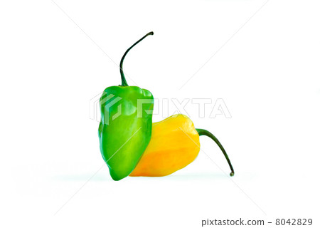 Habanero Chili Pepper 8042829