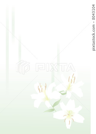Background of lost postcard Lily 8043104