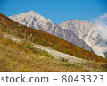 Hakuba-dake秋季葉子 8043323