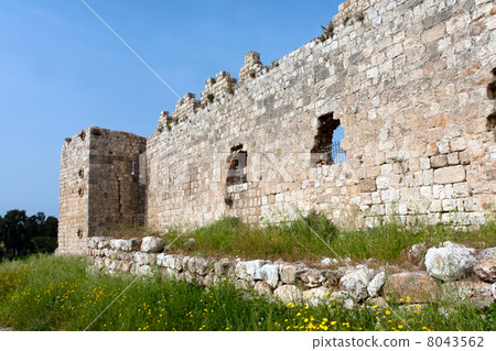 Archaeological excavations 8043562