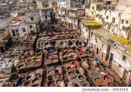 Tannery in Fez, Morocco 8043858