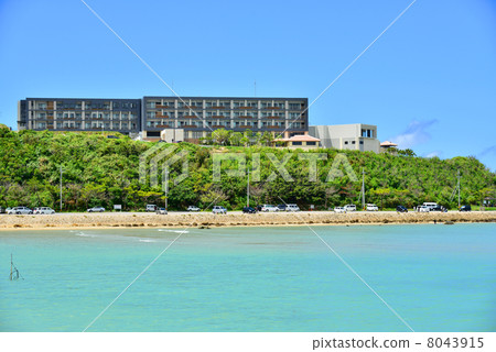 Senagajima Senagajima 8043915