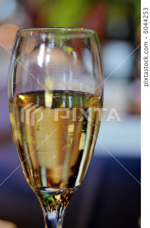 薑汁啤酒 8044253