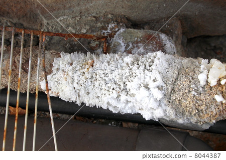 別府溫泉 8044387