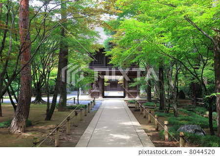 Hirin Temple Sanmon gate Hirin Temple Sanmon gate 8044520