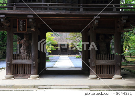 The Hirabayashi mountain gate and the statue of the monk The Hirabayashi mountain gate and the statue of the monk 8044521