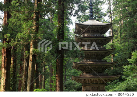 Haguroyama five-storied pagoda Haguroyama five-storied pagoda 8044530