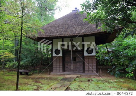 Hirabayashi Horidome Hall 8044572