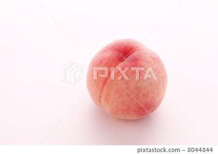 桃子在桃子桃子 桃子在桃子桃子 8044844
