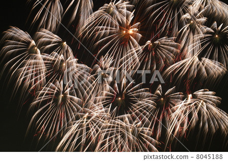煙花在東京煙花大煙花匯演 8045188