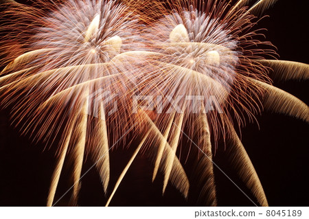 煙花在東京煙花大煙花匯演 8045189