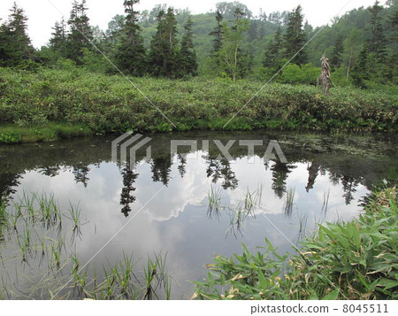 Mosensen pond 8045511
