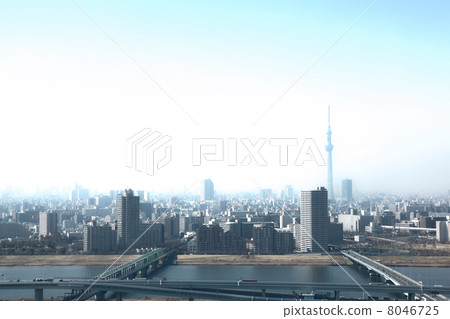 在荒川的東京天空樹 在荒川的東京天空樹 8046725