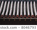 Red tile roof 8046793
