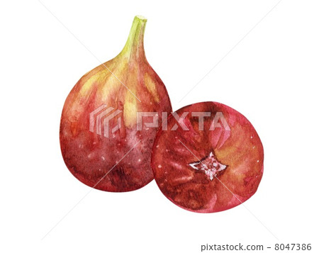 Autumn taste flaked fruits 8047386