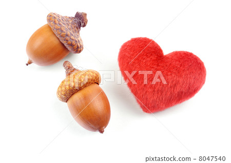 Cute acorn heart Cute acorn heart 8047540