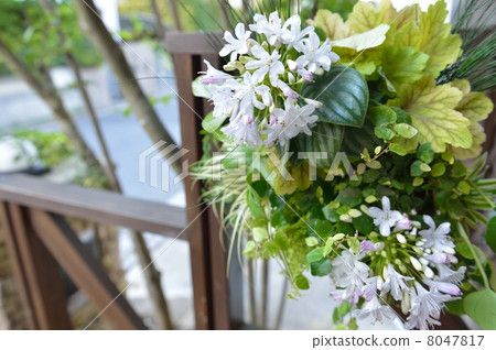 花 草花 花草 8047817