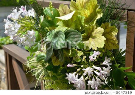 週年紀念 紀念日 週年 8047819