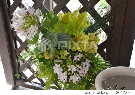 插花藝術 週年紀念 紀念日 8047825