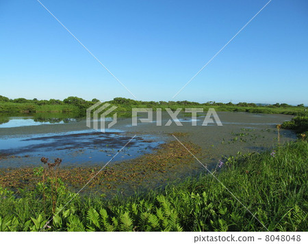 Sarobetsu Hara Naganuma 8048048