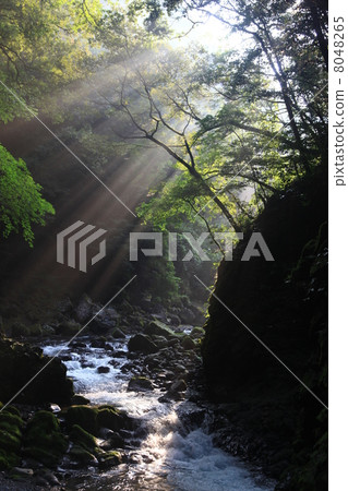 高千穗·天安江 8048265