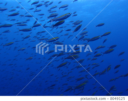 Asia, to the surface of the water 8049125