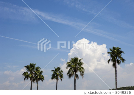 Southern country image 8049226