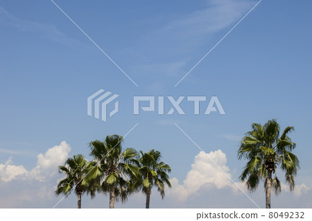 Southern country image 8049232