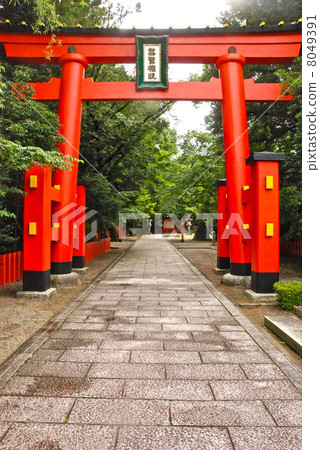 Kumano Hayatake Taisha Shrine的走道·鳥居(和歌山縣新宮市新宮) Kumano Hayatake Taisha Shrine的走道·鳥居(和歌山縣新宮市新宮) 8049391