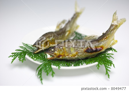 Salt-grilled salmon 8049477