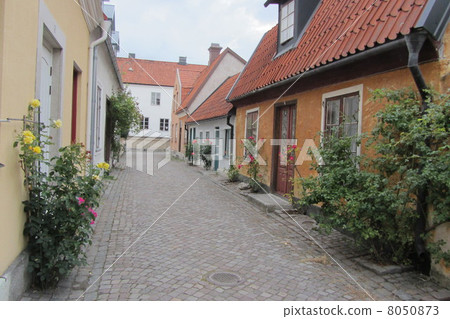 Streets of Visby 8050873