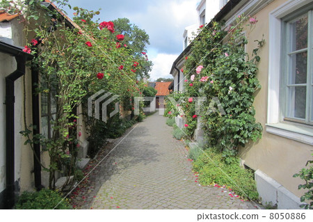 Fiscaglen 8050886