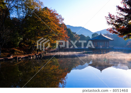 秋葉小屋 秋葉小屋 8051468