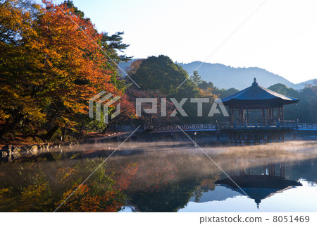 秋葉小屋 8051469