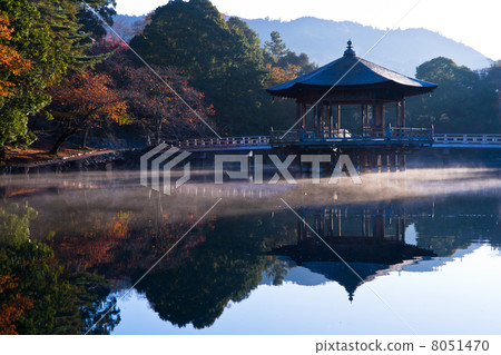 秋葉小屋 8051470