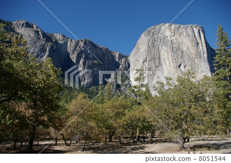 El Capitan at Yosemite National Park 8051544