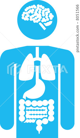 Pictogram of human body and organs Pictogram of human body and organs 8051566