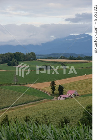 Biei, a house with a red roof 8053823