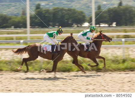 Horse racing 8054502