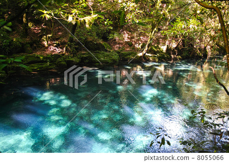 The surface of the Kikuchi Valley 8055066