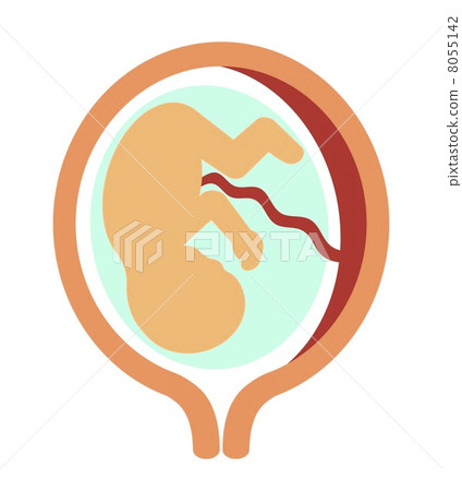 胎兒 胎兒 8055142