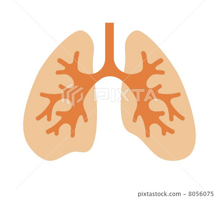 Lung 8056075