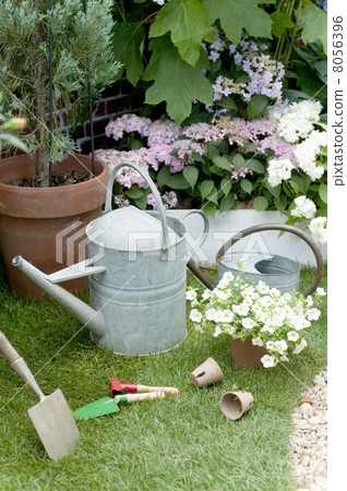 Gardening image Gardening image 8056396