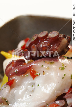 Octopus Carpaccio 8057671