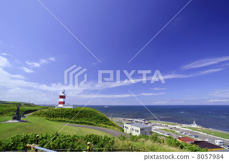 北海道稚內市的大豆角 北海道稚內市的大豆角 8057984